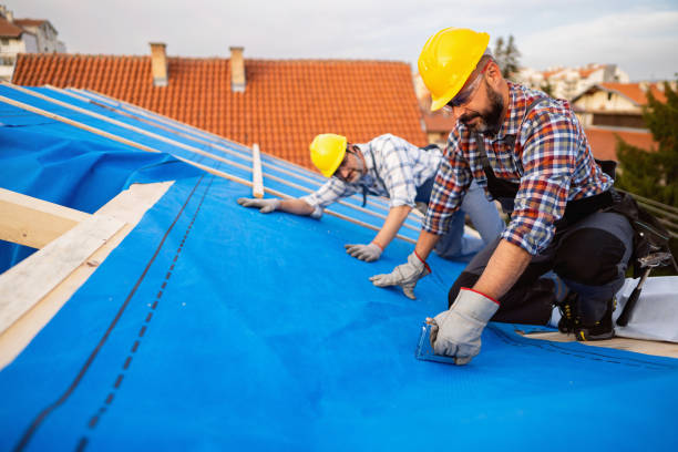 Best Roof Gutter Cleaning  in Breckinridge Center, KY