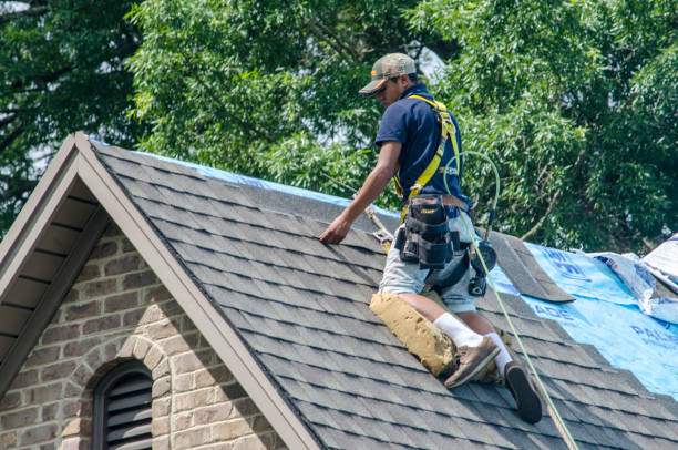 Best Roof Leak Repair  in Breckinridge Center, KY